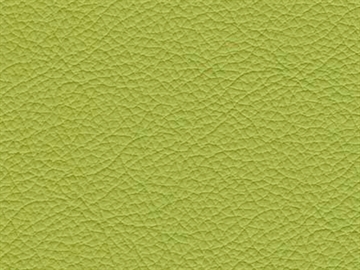 Dækfarvet Læder (Lime)